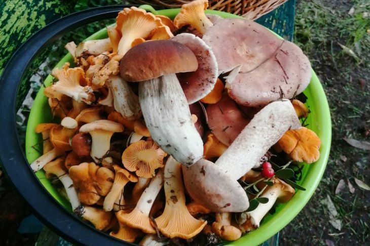 ������� ����� � ���� �����: ��� ����������� �� �������� �������� ��������