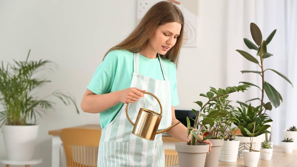 ��� ��������� ������ ��������� �������� �� ����� ������ �������: ������ �� �������