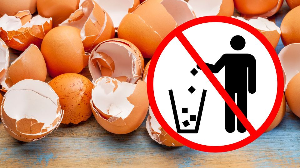 �� � ���� ������ �� ��������� �������� �� ���: ���������� � � ����, � ��� �������