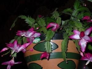 ������ � ���������� ������� ������ � ��� ������� ��� � �����