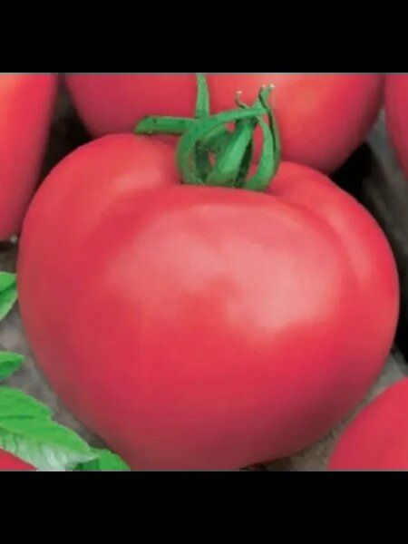 ������� �������: ��� �������� ������� ����� �����