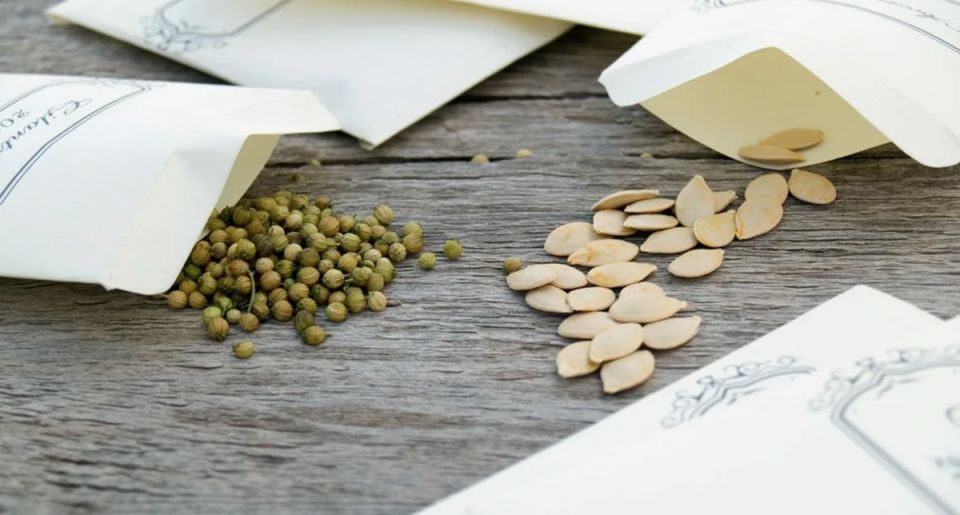 ��� ��������� ������ � ��������: ������ �� �����