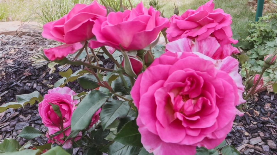 ����, ������� ������ � ��� ���� ������: ���������� ��������� ��� ����