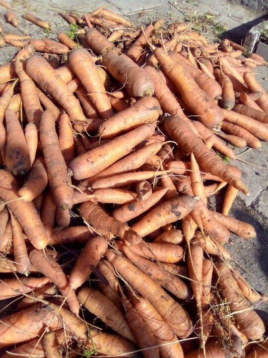 ��� �������� ���������������� ������ ��� ������ �������: ������ ���������