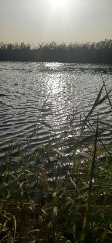 ����� � ��� �������: ��� ������ ������� ������