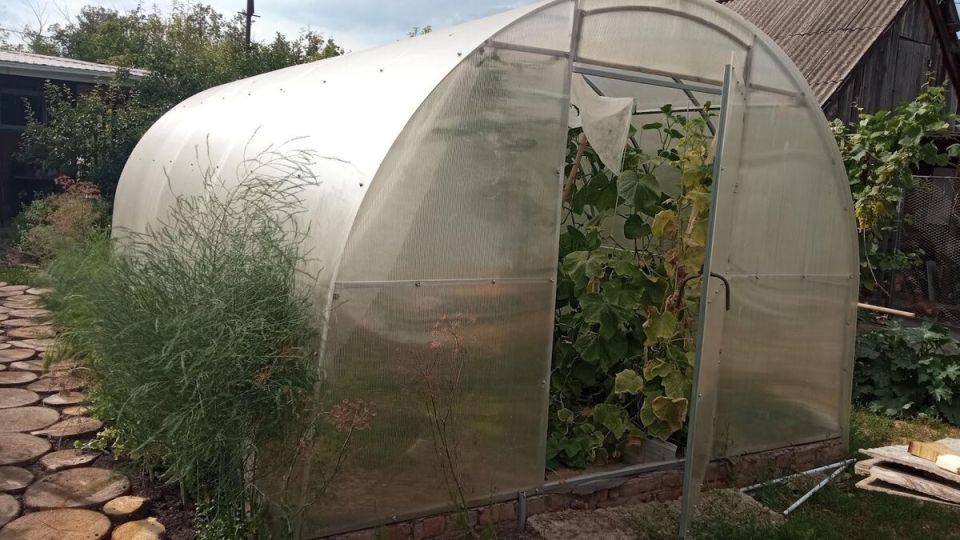 ������ �������� ������ ������ ����� �� ����� ����� ����� 40