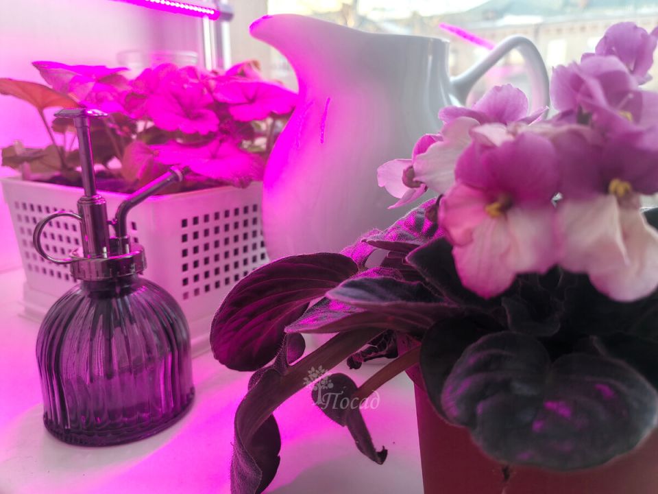 ��� ������ ���������� ������� �������: ������� ��������� �����