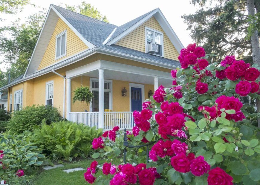 ��� ������ ������� ����� ����� �����: ������� �� �������� ��������