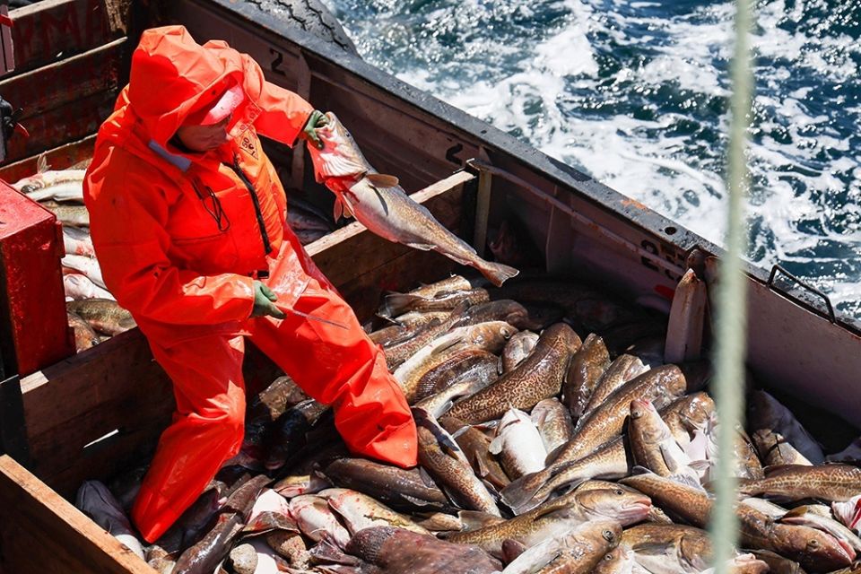 ��������� �������� � ��������������� ��������� ��������� ���� � ��������� ������������