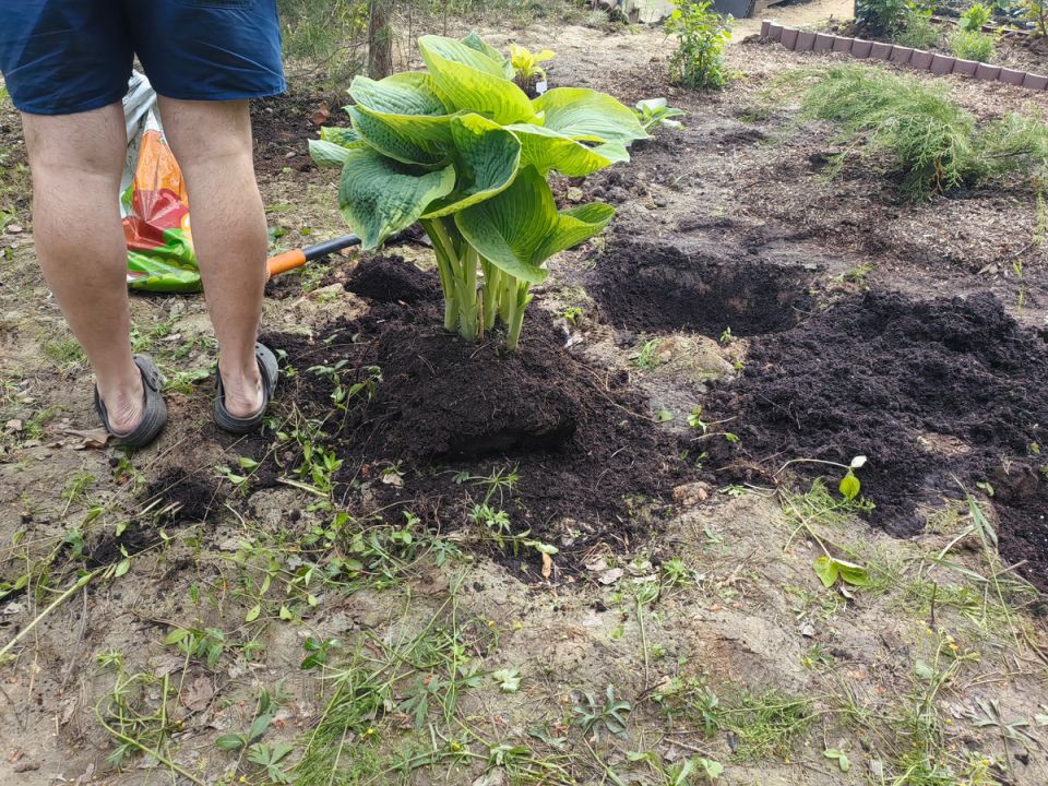 ��� ��������� � ����� ��� �������� �� �����? ������ ������ �� �������