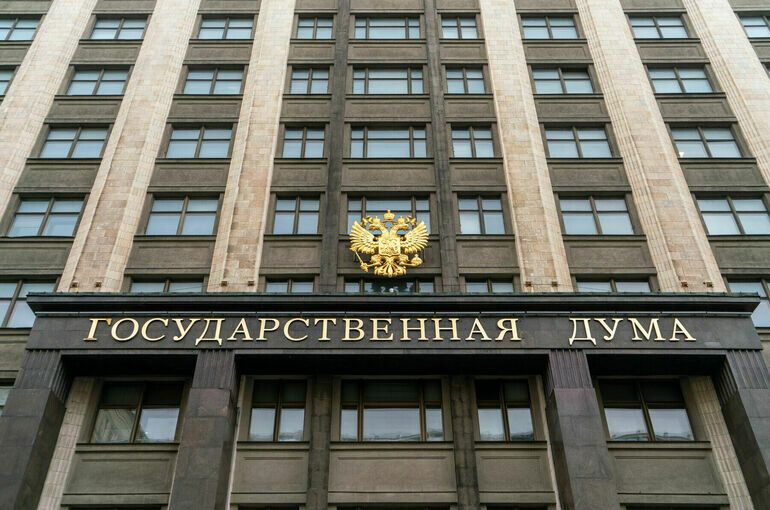 Госдума обсуждает законопроект о защите прав молодых мам