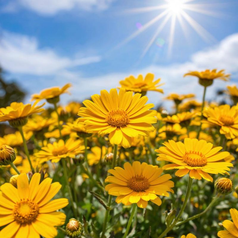 ��������� � ����: ������� ���� � ������� �������� � ��������