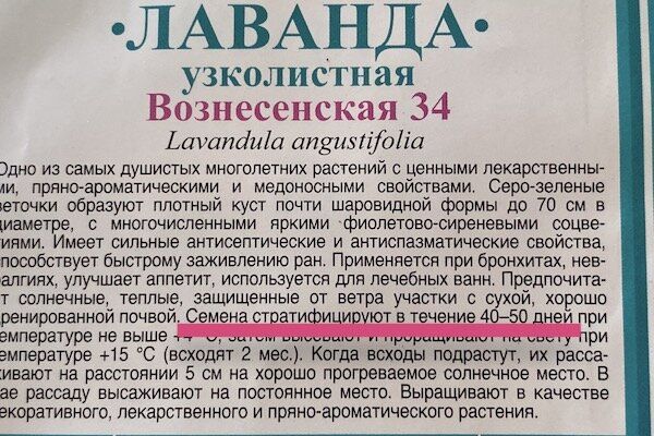 ������������� �����: ������ ����� �� ���������� ���� ���� ��� ��������� �����?