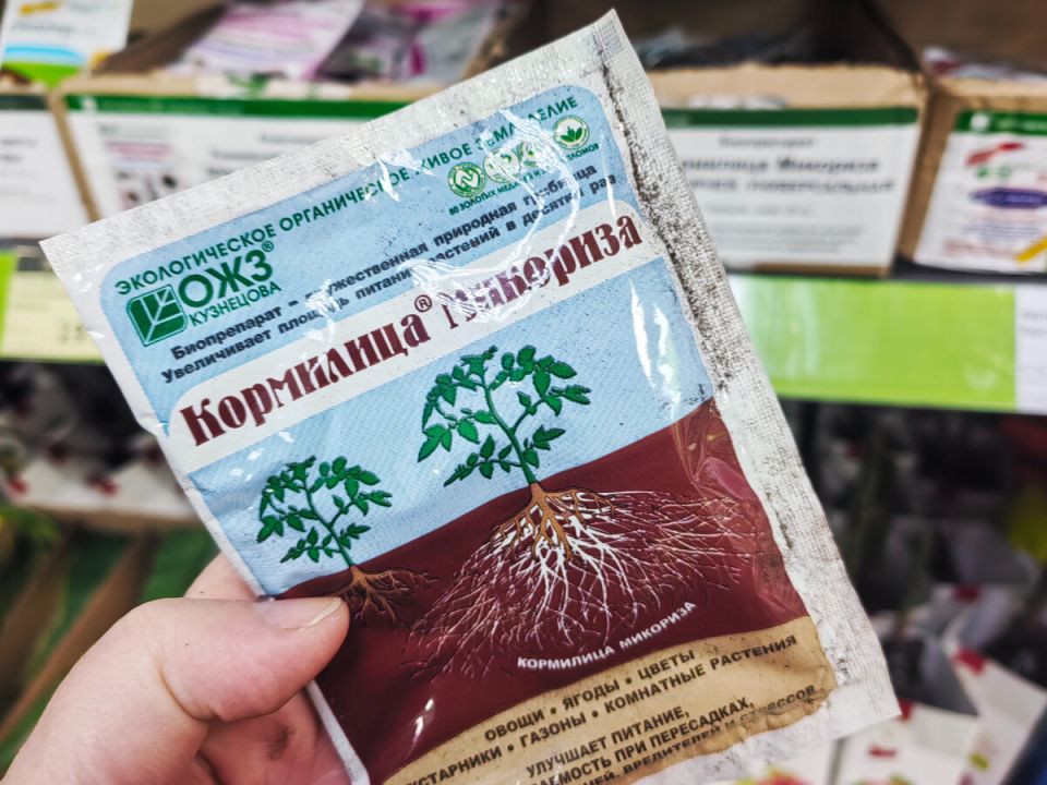 Микориза: стоит ли доверять этой садовой хитрости?