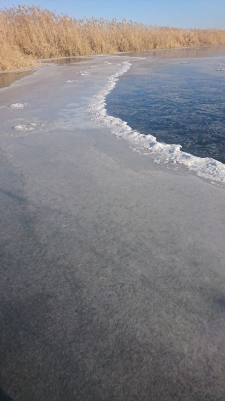 ������ �������: �������� �� ����� � �������