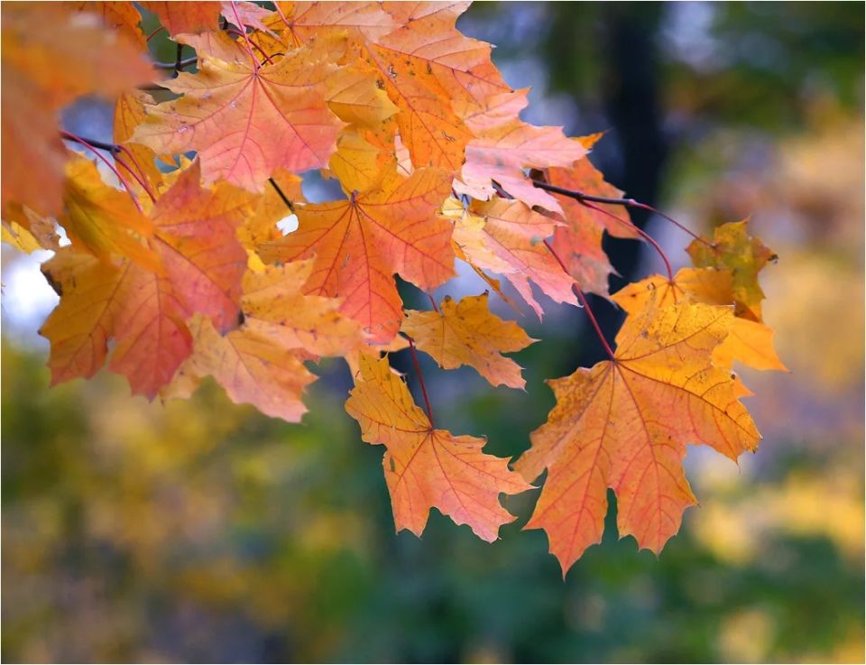 ���: ������������� ��� ������� ����� � ���������� �������