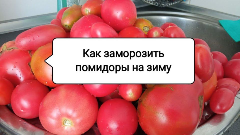 Секреты заморозки помидоров: как сохранить вкус лета до зимы