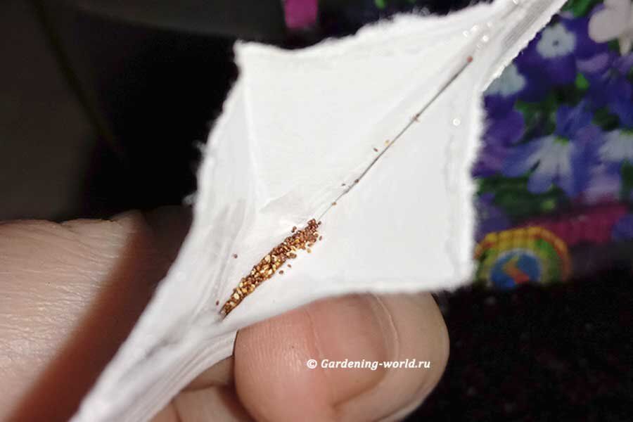 ������� ������� ������� � ������� �� �������: �������� ����� ���������