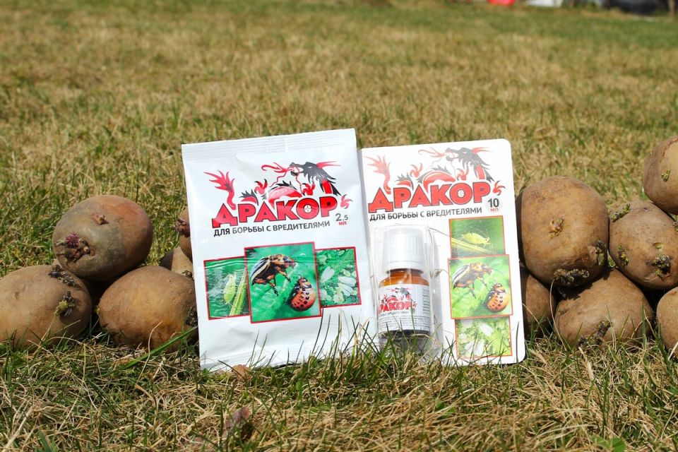 ����������� ������ ���������: ��� ������������� ���������� ��� �� �������