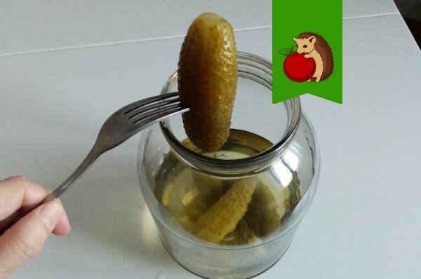 ��� ������� ������� ������� ����� ����: ������� ������������