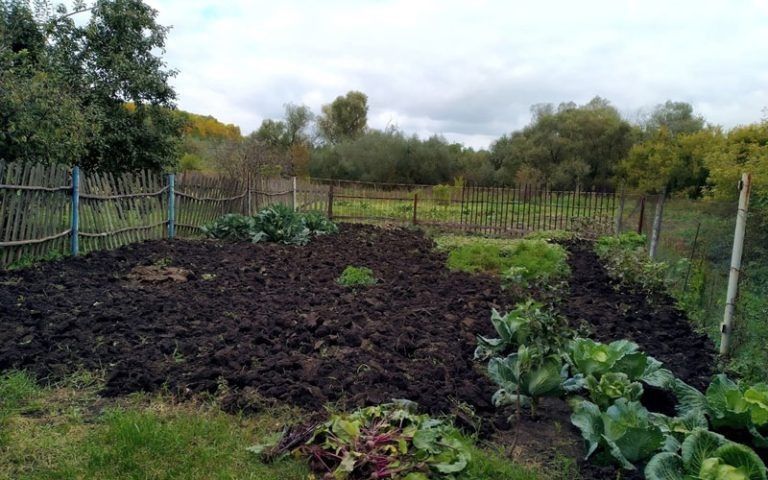 ������������ ��������� ��� ��������� ����� �� ����������